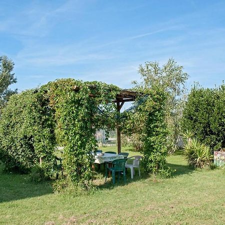 B&B Casa Betulla Пиза Екстериор снимка